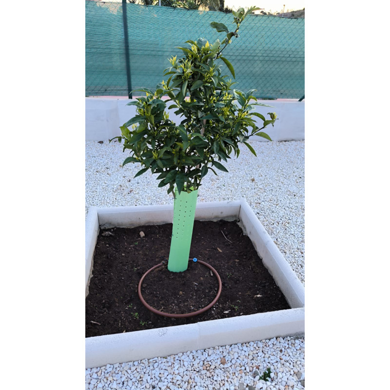 Pack of 25 Tree protection tubes 60 cm | Protect your plants