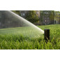 Rain Bird 5004-PLUS Sprinkler. Turbine mit Reichweite von 7,6 bis 15,2 Metern. Innengewinde 3/4'' für professionelle Gartenbewäs Rain Bird 5004-PLUS Sprinkler. Turbine mit Reichweite von 7,6 bis 15,2 Metern. Innengewinde 3/4'' für professionelle Gartenbewäs