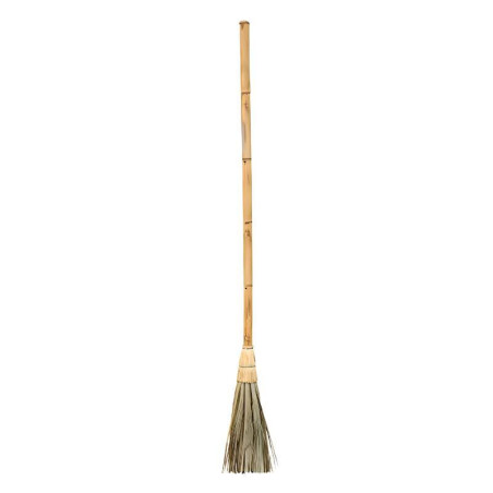 Palm Broom with 1.34m Cane Handle | Efficient Sweeping