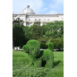 Figurine de Chien en Gazon Artificiel 30x50x46 cm pour Décoration | Idéal pour le jardin, la terrasse et maison Figurine de Chien en Gazon Artificiel 30x50x46 cm pour Décoration | Idéal pour le jardin, la terrasse et maison