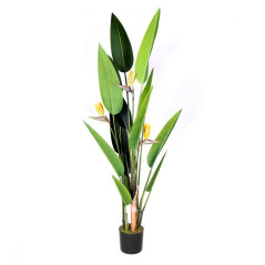 Plante Artificielle Oiseau de Paradis 185cm avec pot | Plantes en plastique pour la décoration de jardin intérieur et extérieur