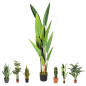 Planta Artificial Ave Paraiso 188cm con Macetero | Plantas de Plástico para Decoración de Jardín Interior y Exterior Planta Artificial Ave Paraiso 188cm con Macetero | Plantas de Plástico para Decoración de Jardín Interior y Exterior
