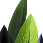 Planta Artificial Ave Paraiso 188cm con Macetero | Plantas de Plástico para Decoración de Jardín Interior y Exterior Planta Artificial Ave Paraiso 188cm con Macetero | Plantas de Plástico para Decoración de Jardín Interior y Exterior