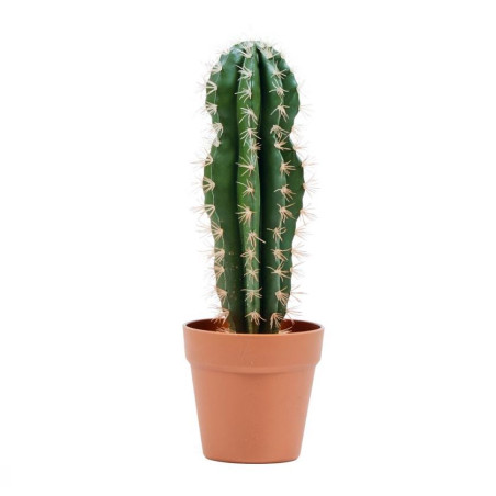 Plante Artificielle Captus Stetsonia Coryne 43cm avec pot | Plantes en plastique pour la décoration de jardin intérieur et extér