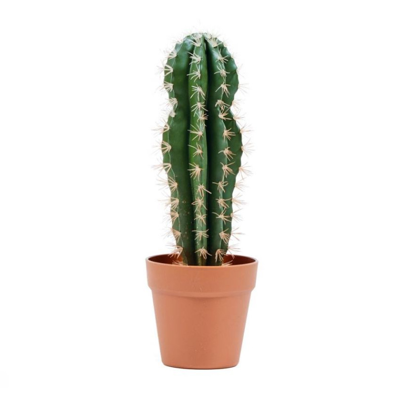 Plante Artificielle Captus Stetsonia Coryne 43cm avec Pot