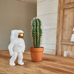 Planta Artificial Captus Stetsonia Coryne 43cm con Macetero | Plantas de Plástico para Decoración de Jardín Interior y Exterior