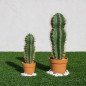 Plante Artificielle Captus Stetsonia Coryne 43cm avec pot | Plantes en plastique pour la décoration de jardin intérieur et extér Plante Artificielle Captus Stetsonia Coryne 43cm avec pot | Plantes en plastique pour la décoration de jardin intérieur et extér