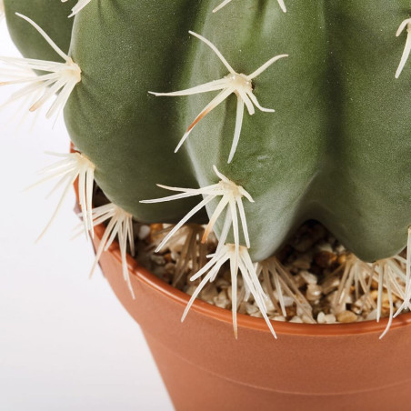 Plante Artificielle Captus Stetsonia Coryne 43cm avec Pot