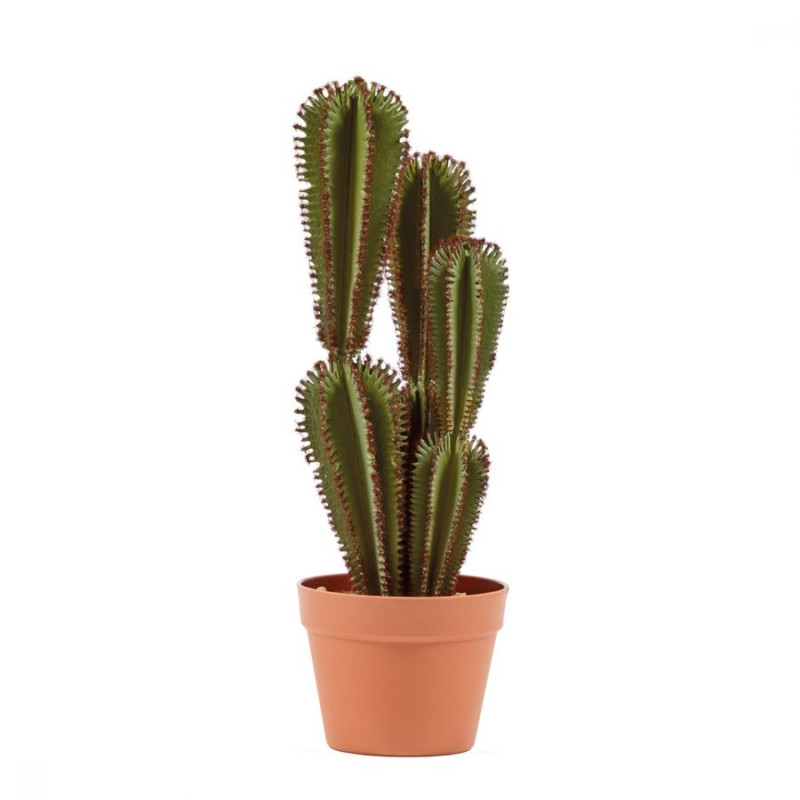 Plante Artificielle Captus Euphorbia Suzannae 57cm avec pot | Plantes en plastique pour la décoration intérieure et extérieure Plante Artificielle Captus Euphorbia Suzannae 57cm avec pot | Plantes en plastique pour la décoration intérieure et extérieure