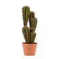 Planta Artificial Captus Euphorbia Suzannae 57cm con Macetero | Plantas de Plástico para Decoración de Interior y Exterior