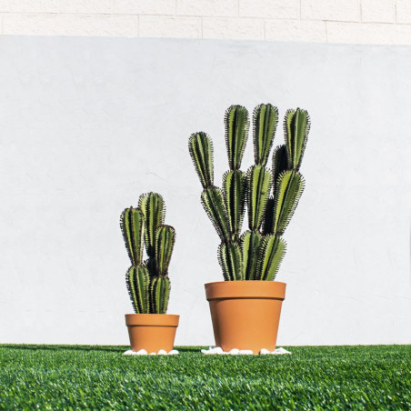 Plante artificielle Captus Euphorbia Suzannae 57 cm avec pot