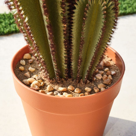 Plante artificielle Captus Euphorbia Suzannae 57 cm avec pot