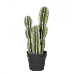 Plante Artificielle Captus Fairy Castles 62cm avec pot | Plantes en plastique pour la décoration de jardin intérieur et extérieu