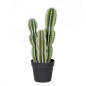 Plante Artificielle Captus Fairy Castles 62cm avec pot | Plantes en plastique pour la décoration de jardin intérieur et extérieu Plante Artificielle Captus Fairy Castles 62cm avec pot | Plantes en plastique pour la décoration de jardin intérieur et extérieu