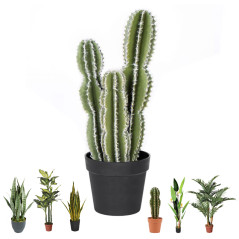 Plante Artificielle Captus Fairy Castles 62cm avec pot | Plantes en plastique pour la décoration de jardin intérieur et extérieu