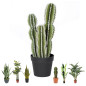 Plante Artificielle Captus Fairy Castles 62cm avec pot | Plantes en plastique pour la décoration de jardin intérieur et extérieu Plante Artificielle Captus Fairy Castles 62cm avec pot | Plantes en plastique pour la décoration de jardin intérieur et extérieu