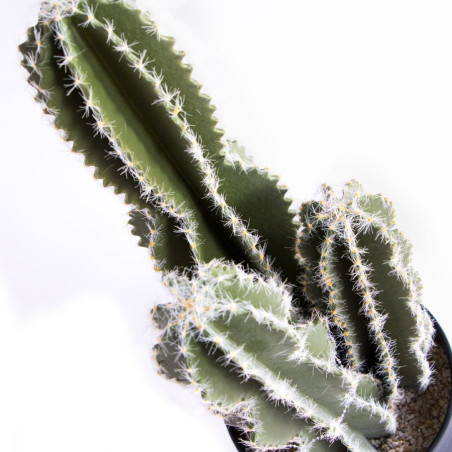 Planta Artificial Captus Castelos de Fadas 62cm com Vaso