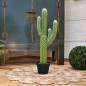 Plante Artificielle Captus Saguaro 82cm avec pot de fleurs | Plantes en plastique pour la décoration de jardin intérieur et ext Plante Artificielle Captus Saguaro 82cm avec pot de fleurs | Plantes en plastique pour la décoration de jardin intérieur et ext