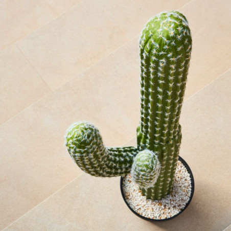 Künstliche Saguaro-Pflanze 82 cm mit Übertopf | Plastikpflanzen