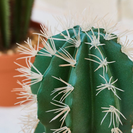 Planta artificial Captus Stetsonia Coryne 64 cm com vaso | Plantas de plástico