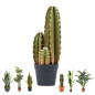 Plante Artificielle Captus Organo 64cm avec pot | Plantes en plastique pour la décoration de jardin intérieur et extérieur Plante Artificielle Captus Organo 64cm avec pot | Plantes en plastique pour la décoration de jardin intérieur et extérieur
