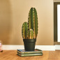 Plante Artificielle Captus Organo 64cm avec pot | Plantes en plastique pour la décoration de jardin intérieur et extérieur Plante Artificielle Captus Organo 64cm avec pot | Plantes en plastique pour la décoration de jardin intérieur et extérieur