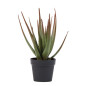 Planta de Aloe Vera Artificial 81 cm com Vaso | Plantas de Plástico para Decoração de Jardins Internos e Externos Planta de Aloe Vera Artificial 81 cm com Vaso | Plantas de Plástico para Decoração de Jardins Internos e Externos