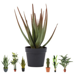 Künstliche Aloe Pflanze 81cm mit Topf | Plastikpflanzen