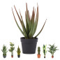 Planta de Aloe Vera Artificial 81 cm com Vaso | Plantas de Plástico para Decoração de Jardins Internos e Externos Planta de Aloe Vera Artificial 81 cm com Vaso | Plantas de Plástico para Decoração de Jardins Internos e Externos