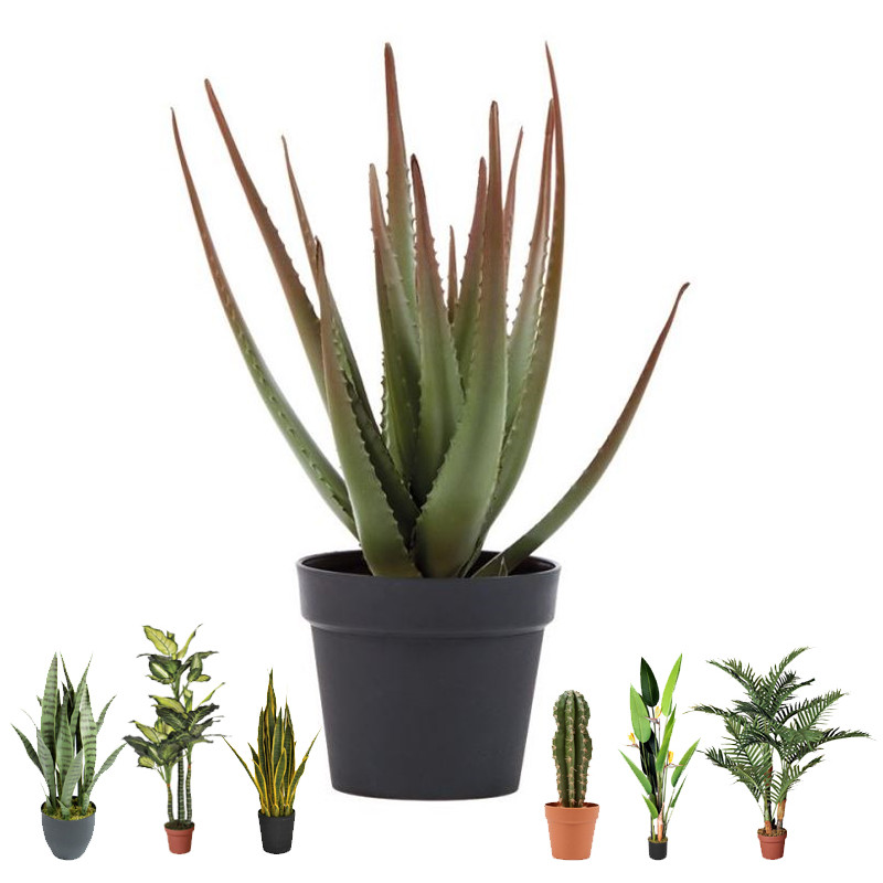 Plante d'aloès artificielle 81 cm avec pot | Plantes en plastique