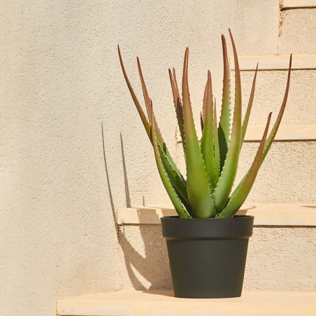 Plante d'aloès artificielle 81 cm avec pot | Plantes en plastique