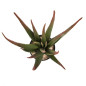 Planta de Aloe Vera Artificial 81 cm com Vaso | Plantas de Plástico para Decoração de Jardins Internos e Externos Planta de Aloe Vera Artificial 81 cm com Vaso | Plantas de Plástico para Decoração de Jardins Internos e Externos