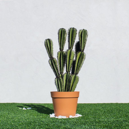 Planta Artificial Captus Stetsonia Coryne 90cm con Macetero | Plantas de Plástico