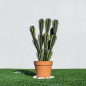 Künstlicher Kaktus Stetsonia Coryne 90 cm mit Topf | Plastikpflanzen zur Gartendekoration für Innen- und Außenbereiche Künstlicher Kaktus Stetsonia Coryne 90 cm mit Topf | Plastikpflanzen zur Gartendekoration für Innen- und Außenbereiche