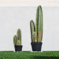 Plante Artificielle Captus Organo 120cm avec pot | Plantes en plastique pour la décoration de jardin intérieur et extérieur