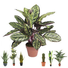 Plante Artificielle Calathea Zebra 49cm avec pot | Plantes en plastique pour la décoration de jardin intérieur et extérieur