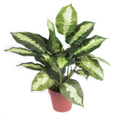 Künstliche Calathea 49 cm mit Topf	Plastikpflanzen zur Gartendekoration für Innen- und Außenbereiche