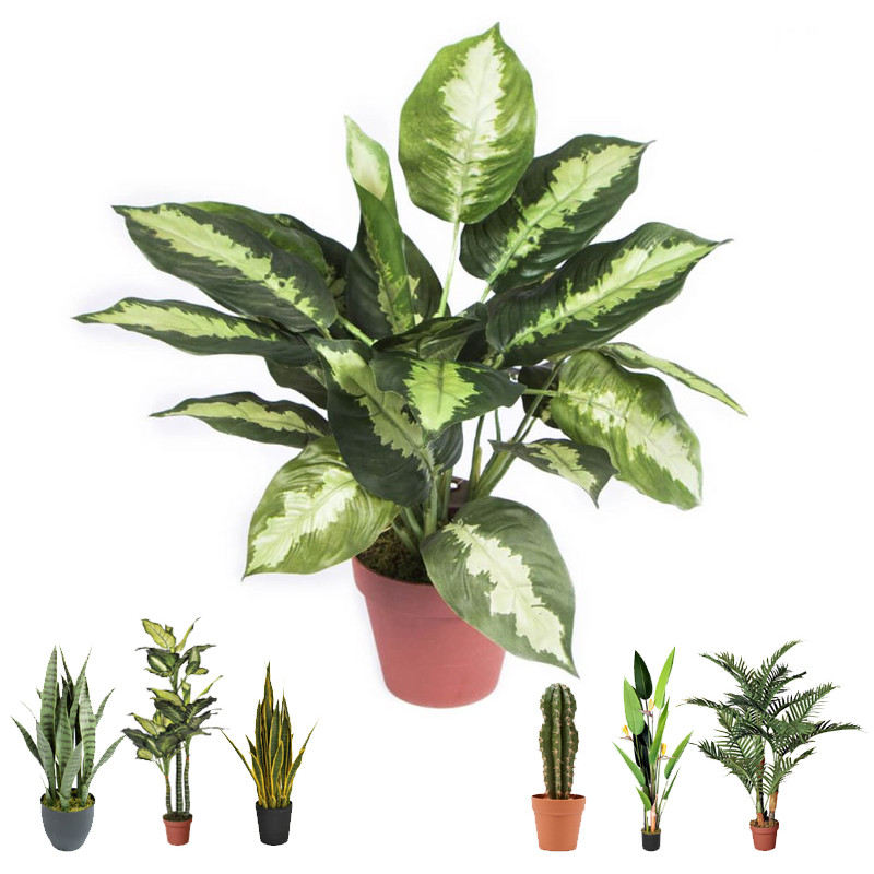 Planta Artificial Calatea 49cm con Macetero | Plantas de Plástico para Decoración de Jardín Interior y Exterior