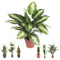 Planta Artificial Calatea 49cm con Macetero | Plantas de Plástico para Decoración de Jardín Interior y Exterior Planta Artificial Calatea 49cm con Macetero | Plantas de Plástico para Decoración de Jardín Interior y Exterior