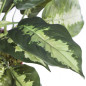 Planta Artificial Calatea 49cm con Macetero | Plantas de Plástico para Decoración de Jardín Interior y Exterior Planta Artificial Calatea 49cm con Macetero | Plantas de Plástico para Decoración de Jardín Interior y Exterior