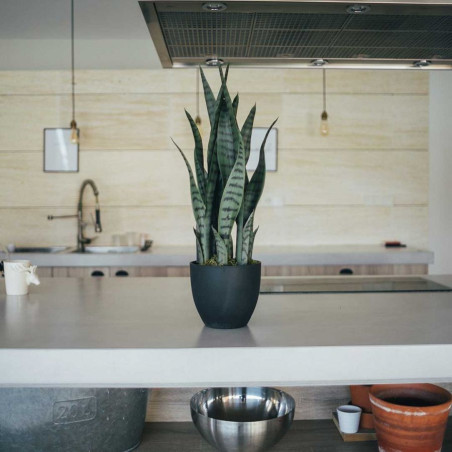 Künstliche Sansevieria Pflanze 70cm mit Topf | Plastikpflanzen