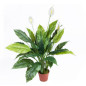 Plante Artificielle Voile de Vent 105cm avec pot | Plantes en plastique pour la décoration de jardin intérieur et extérieur Plante Artificielle Voile de Vent 105cm avec pot | Plantes en plastique pour la décoration de jardin intérieur et extérieur