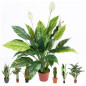 Plante Artificielle Voile de Vent 105cm avec pot | Plantes en plastique pour la décoration de jardin intérieur et extérieur Plante Artificielle Voile de Vent 105cm avec pot | Plantes en plastique pour la décoration de jardin intérieur et extérieur