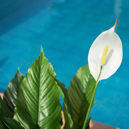 Pianta artificiale a forma di vela eolica da 105 cm con fioriera | Piante di plastica