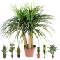 Planta Nolina Artificial 75 cm com Vaso | Plantas de Plástico para Decoração de Jardins Internos e Externos Planta Nolina Artificial 75 cm com Vaso | Plantas de Plástico para Decoração de Jardins Internos e Externos