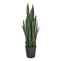 Plante Artificielle langue de tigre 105cm avec pot | Plantes en plastique pour la décoration de jardin intérieur et extérieur Plante Artificielle langue de tigre 105cm avec pot | Plantes en plastique pour la décoration de jardin intérieur et extérieur