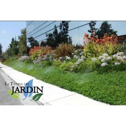 Bocal Difusor para Irrigação | 5 Bocais Hunter 10A | Bocais Ajustáveis de 3m para Aspersores de Jardim