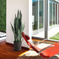 Künstliche Buntblättrige Sansevieria 105 cm mit Topf	Plastikpflanzen zur Gartendekoration für Innen- und Außenbereiche Künstliche Buntblättrige Sansevieria 105 cm mit Topf	Plastikpflanzen zur Gartendekoration für Innen- und Außenbereiche