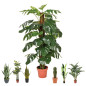 Plante Artificielle Monstera 135cm avec pot | Plantes en plastique pour la décoration de jardin intérieur et extérieur