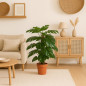 Plante Artificielle Monstera 135cm avec pot | Plantes en plastique pour la décoration de jardin intérieur et extérieur